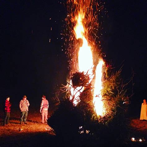 photo bonfire photo firewood outdoors night