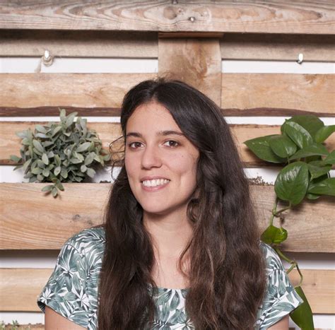 How do trees bring back rivers?