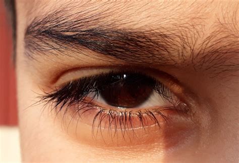 Dark Brown Eyes