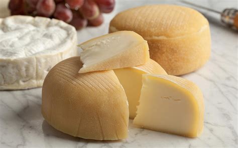 learn    cheese recipes faq support