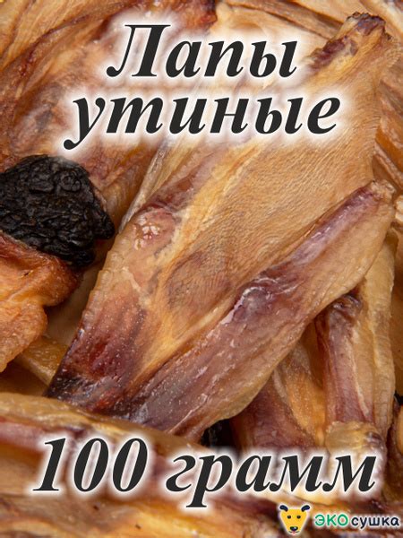 Лапы утиные для собак и кошек сушеное "Экосушка" натуральное и ...