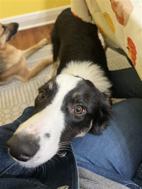 The Sadgalkate Leak: Impossible To Ignore - Truth or Fiction