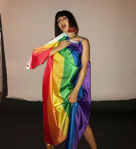 Charli XCX Facts, Bio, Wiki, Net Worth, Age, Height, Family, Affair ...