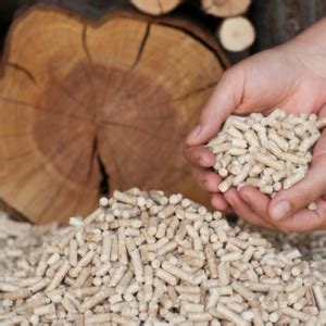 pellets     work basic information