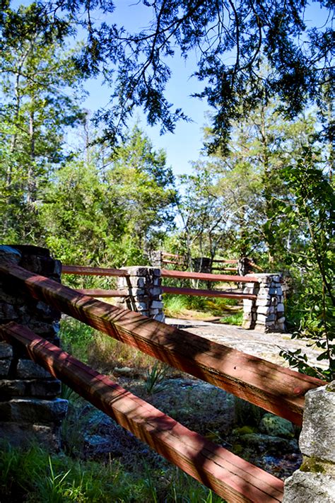 wanderlust ATLANTA: Panola Mountain State Park
