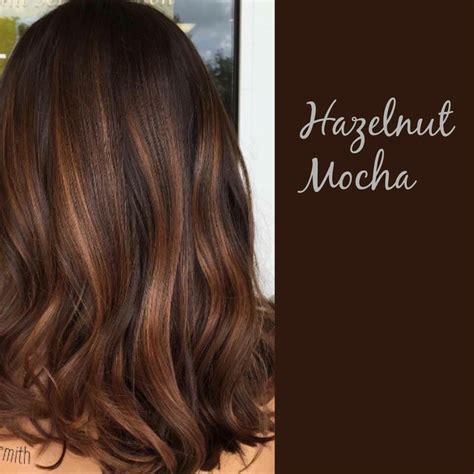 Mocha Brown Hair Color With Highlights – Warehouse of Ideas