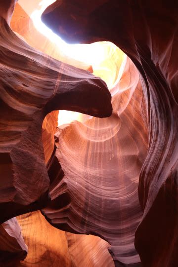 canyon partners llc  oriented specialists