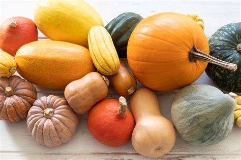Squash Types List