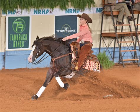 Five levels, four horses, one feed – Bluebonnet
