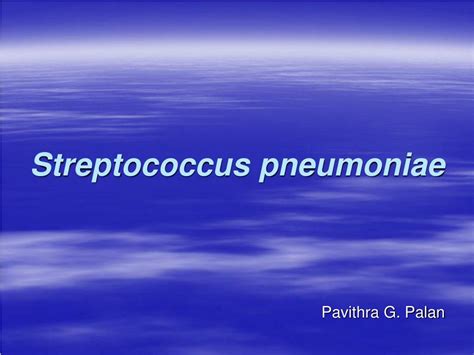 PPT - Streptococcus pneumoniae PowerPoint Presentation, free download ...