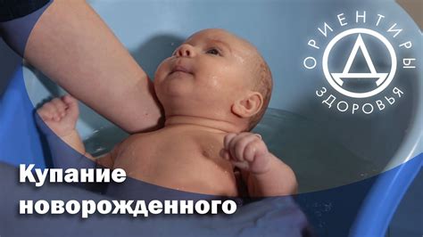 Купание новорожденного - YouTube