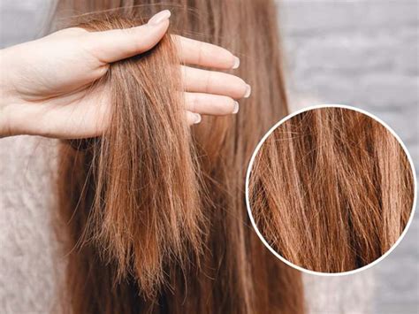 Top 10 Best Sun Protection Hair Products You Need For Summer 2019 ...