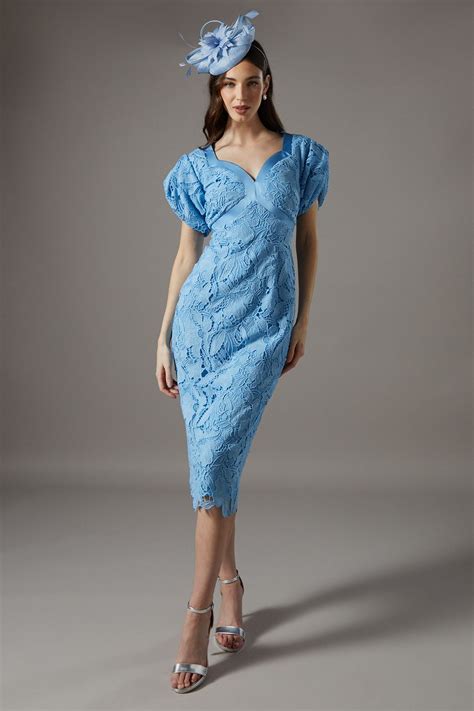 Dresses | Lace Fitted Dress | Coast