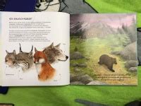 Книга: Животные в природе. Медведь - Ренне. Купить книгу, читать ...