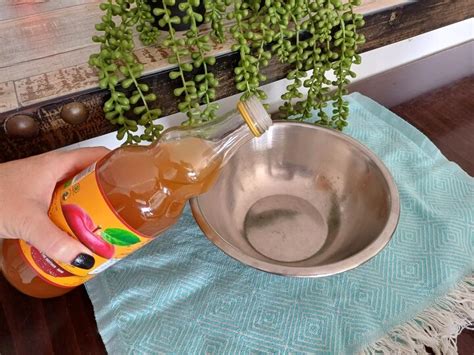 How to Make Homemade Apple Cider Vinegar Ants Spray | Hometalk