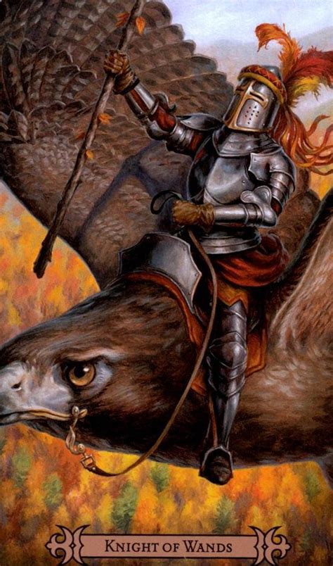 knight  wands modern spellcasters tarot elvi tarot