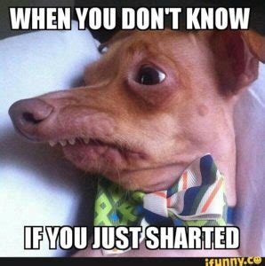shart Meaning & Origin | Slang by Dictionary.com