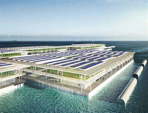 The Monkey Buddha: Future of Food: Floating Farms