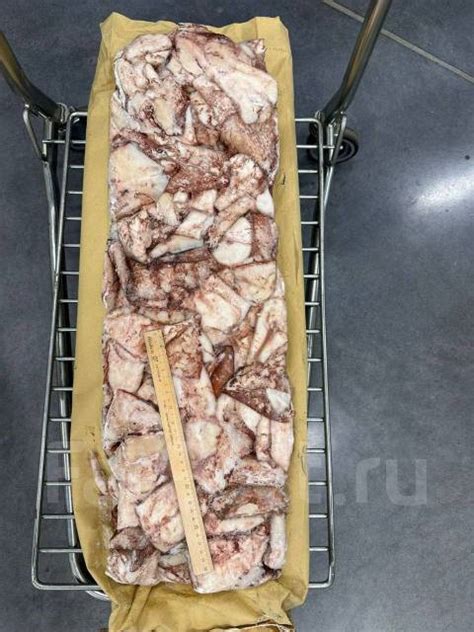 Кальмар Командорский тушка во Владивостоке, в наличии. Цена: 220₽