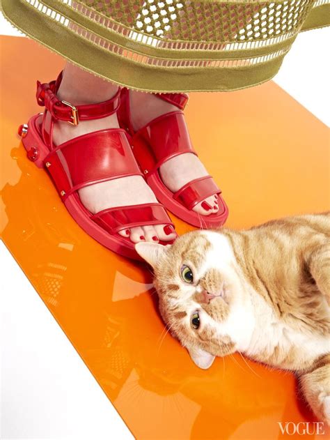 "Кошки и обувь" от Vogue USA | Журнал Ярмарки Мастеров | Katzen, Schuhe