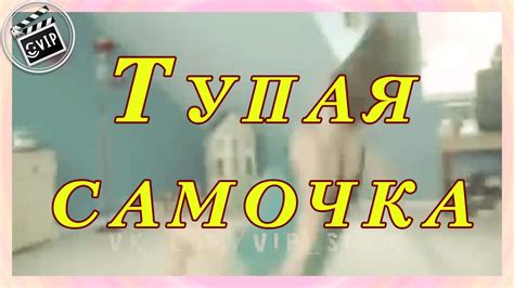 Тупая самочка - YouTube