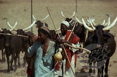 Crisis looms between Abia community and Hausa/Fulani herdsmen - Daily ...