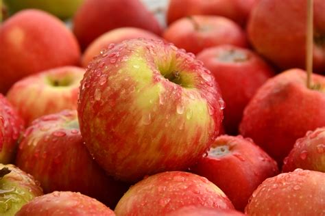 Extinct Fruit and Floating Trees — Poetic Wax