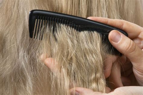 Here's Everything You Need to Know About Porosity | NaturallyCurly