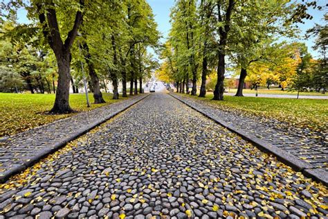 A Stone Road in the Autumn Season Stock Photo - Image of leaf, colorful ...