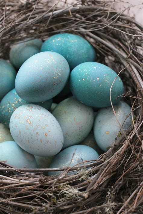 DIY Naturally Dyed Robin Eggs – Honestly WTF