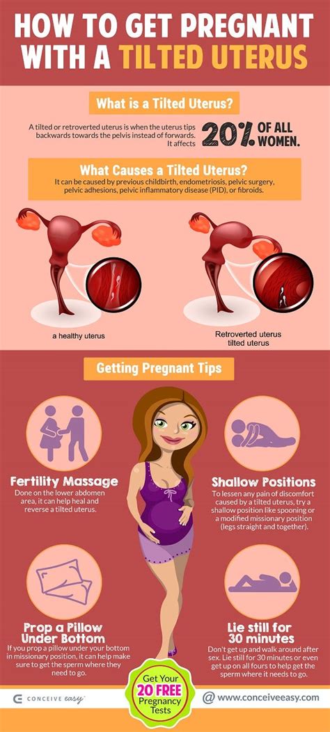 Retroverted Uterus Pregnancy