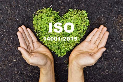 Зачем предприятиям нужен сертификат ISO 14001 | Организация «НОПСС»