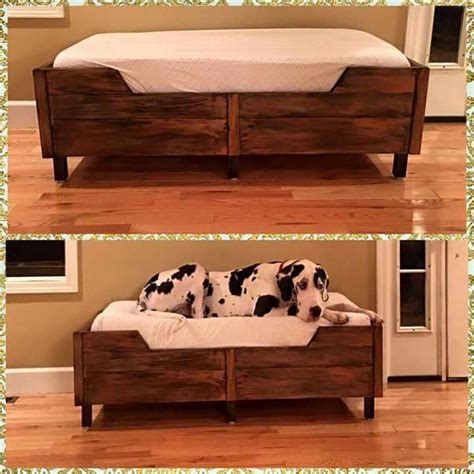 Great Dane Bed Ideas | PETSIDI