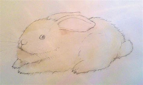 Learn How to Paint a Beautiful Bunny | Craftsy