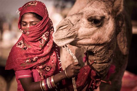 Pushkar Camel Fair Photography Tour | Pushkar Camel Fair 2023