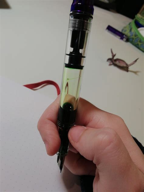 Is this a histiocytoma on my puppy’s ear? : r/veterinarian