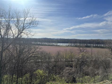 Larry Conners USA - NewsTalkSTL - 6-18-25 | Welcome to Larry Conners