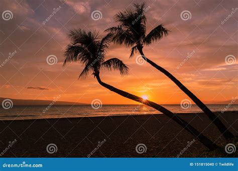 Beautiful Sunset on Maui stock photo. Image of beach - 151815040