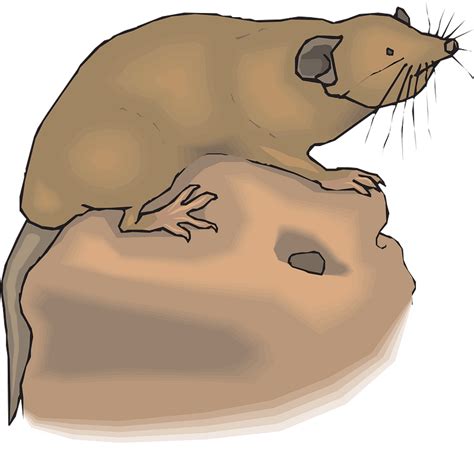 hole  vector clipart images  creazillacom