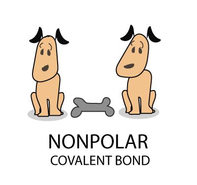 What is Nonpolar Covalent Bond