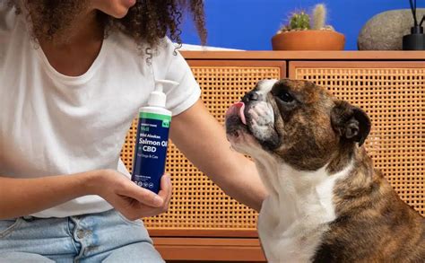 The Best Salmon Oil For Dogs & How It Can Help Your Pup - Canine Journal