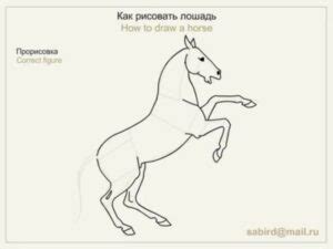 Як намалювати коня - малюємо коня олівцем поетапно