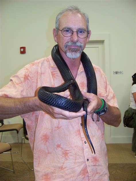 indigo snake | Panhandle Outdoors