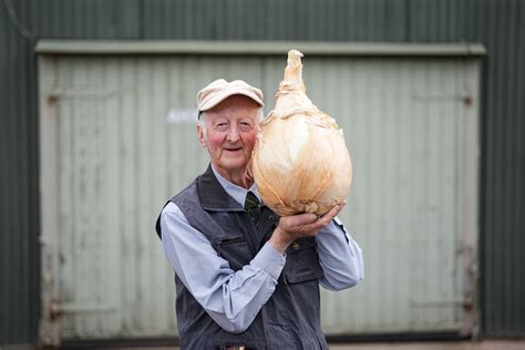Pumpkins, onions and parsnips on display at giant vegetables