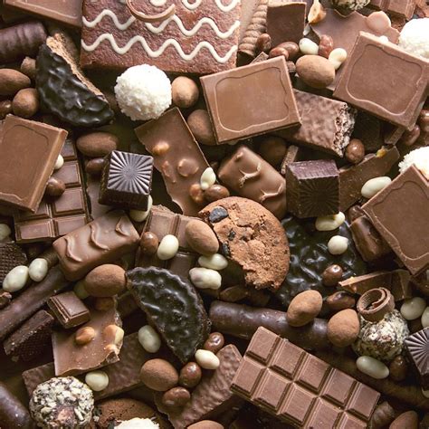 7 Reasons You Should Eat Chocolate This World Chocolate Day – Cakers ...