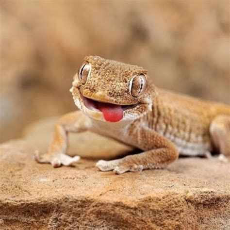 agikgqpqfxacwbjywsebaweozhsbdvmxhtknqmaldqs   cxffffff  rj