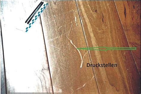 Kratzer im Parkett: Was sagt der Gutachter? - boden wand decke