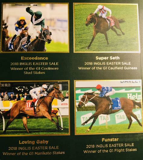 thoroughbred horses  diversify  investment portfolio