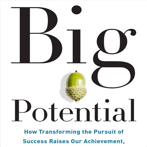 Big Potential by Shawn Achor.pdf | DocDroid