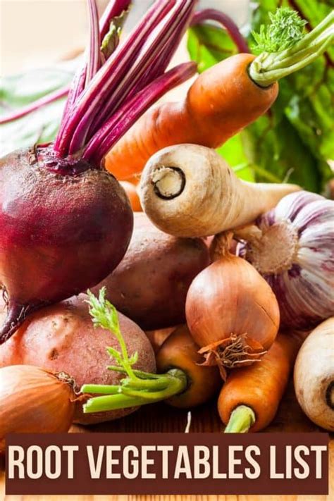 root vegetables list  favorites  pictures